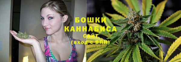 крисы Лагань